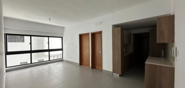 Apartamento 1 habitación Naco