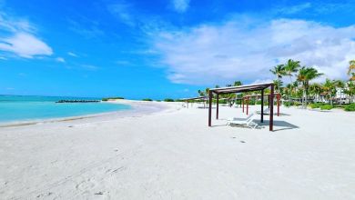 Invertir en Cap Cana - Estadísticas y Rentabilidad